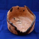 Natural edge Red Alder